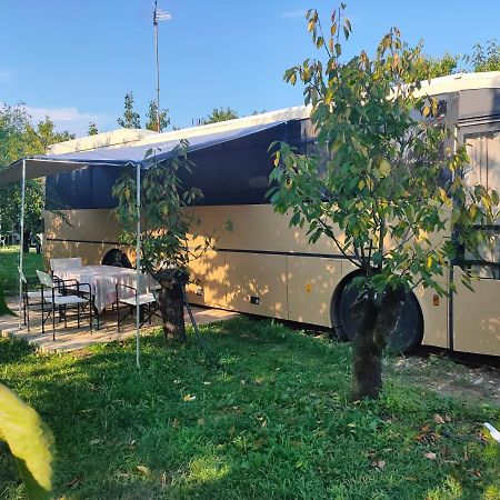 Terrebiobus Hotell Visnadello Eksteriør bilde