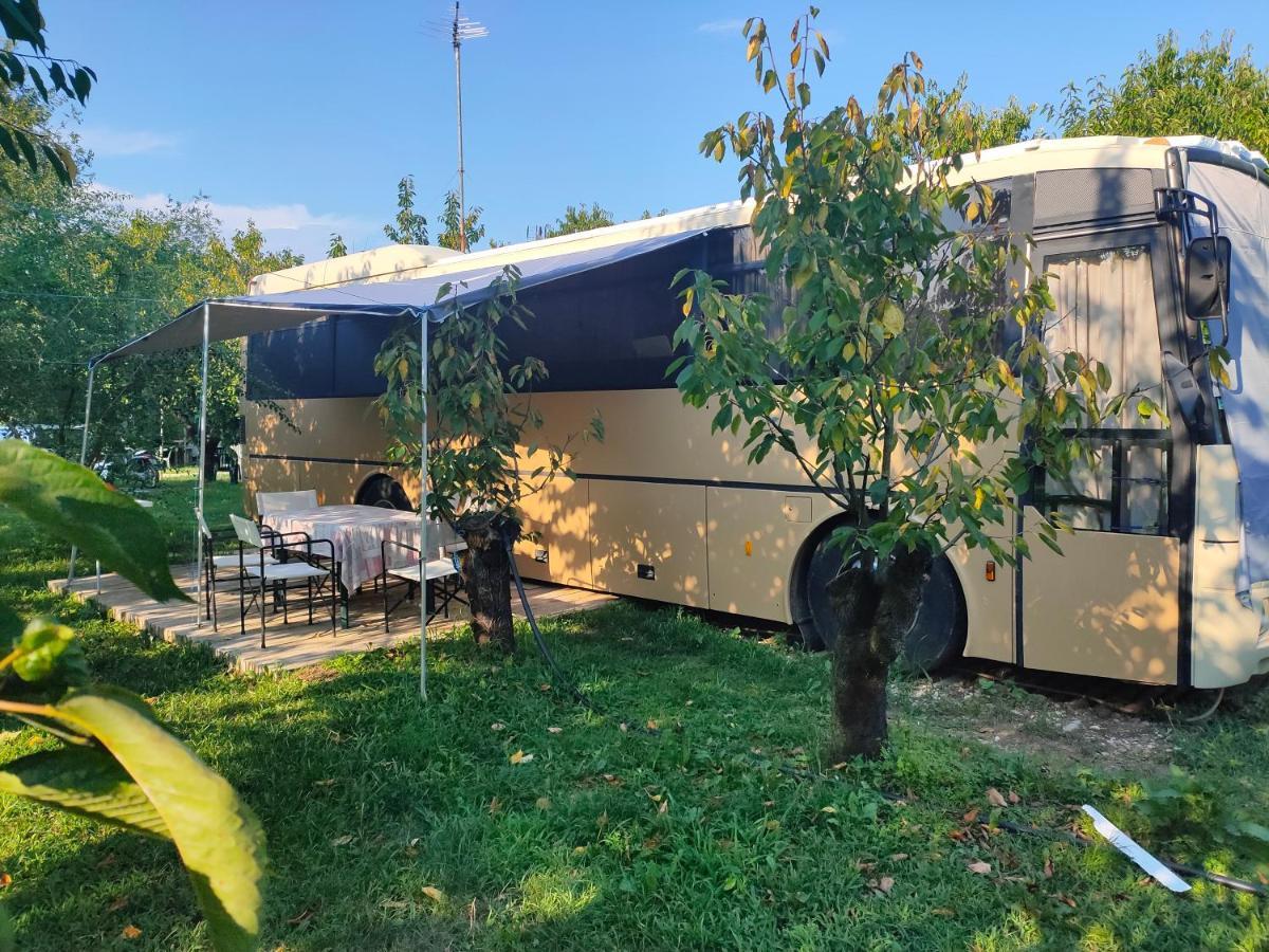 Terrebiobus Hotell Visnadello Eksteriør bilde